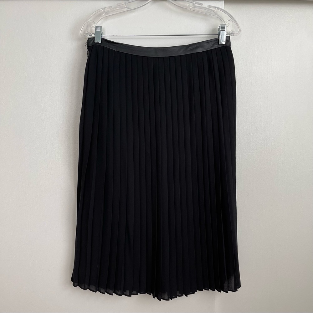 Banana Republic Pleated A-line Skirt